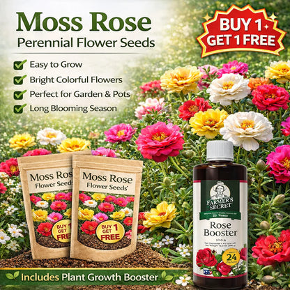 Moss Rose Perennial Flower Seeds 🌿 With Plant Growth Supplement | BUY 1 GET 1 FREE