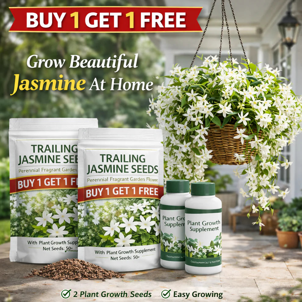 Jasmine Seeds - Trailing Midnight Perfume | BUY 1 GET 1 FREE