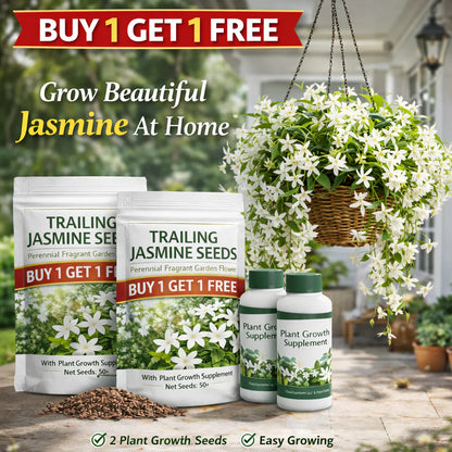 Jasmine Seeds - Trailing Midnight Perfume | BUY 1 GET 1 FREE