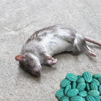 High-Potency Rodent Bait ✨ BUY 1 GET 1 FREE 🔥